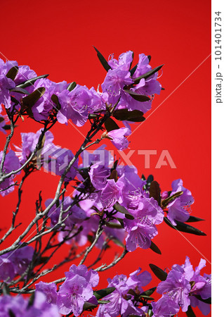 背景は自販機の背面 背景は自販機の背面 101401734