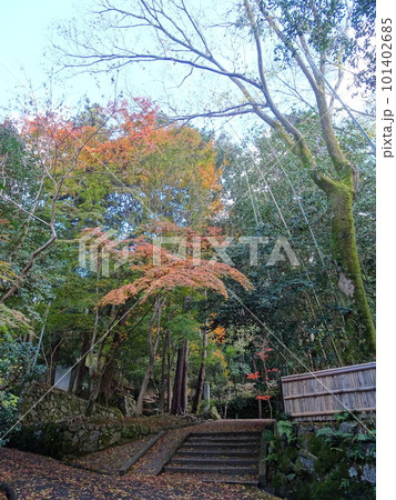 京都の紅葉をめぐる 法然院 京都の紅葉をめぐる 法然院 101402685