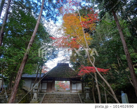 京都の紅葉をめぐる 法然院 京都の紅葉をめぐる 法然院 101402690