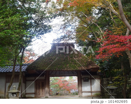 京都の紅葉をめぐる　法然院 101402695