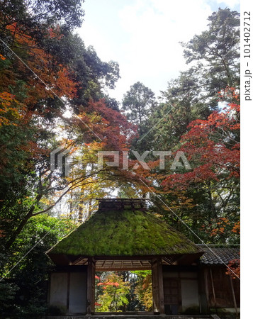 京都の紅葉をめぐる 法然院 京都の紅葉をめぐる 法然院 101402712