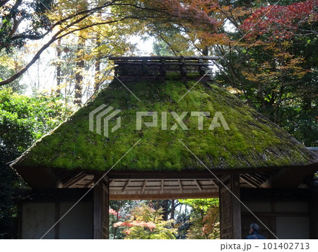 京都の紅葉をめぐる 法然院 京都の紅葉をめぐる 法然院 101402713