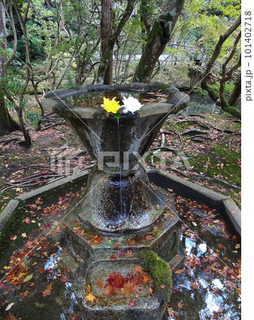 京都の紅葉をめぐる 法然院 京都の紅葉をめぐる 法然院 101402718