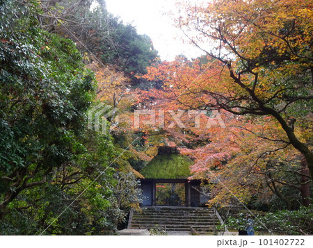 京都の紅葉をめぐる 法然院 京都の紅葉をめぐる 法然院 101402722