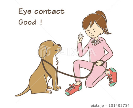 ペットの大型犬とアイコンタクトをとり、トレーニングをするスポーツウェアを着たポニーテールの若い女性 101403754