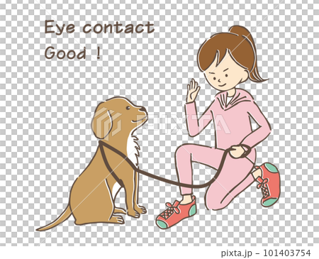 穿著運動服的馬尾辮年輕女性與她的寵物大狗進行眼神交流和訓練 101403754