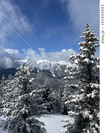 バンフ国立公園にある、カナディアンロッキー観光の拠点となる町・バンフ（カナダ・アルバータ州） 101404893