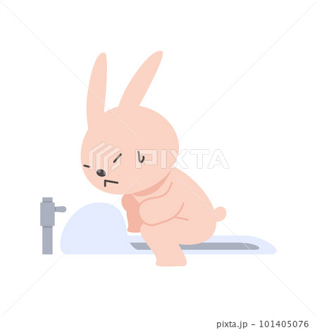 和式トイレを正しく利用するうさぎのベクターイラスト 和式トイレを正しく利用するうさぎのベクターイラスト 101405076