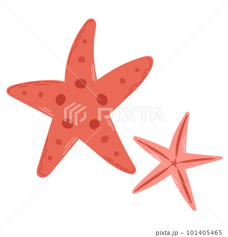 Two coral starfish isolated on white background. Modern flat cartoon style. Two coral starfish isolated on white background. Modern flat cartoon style. 101405465