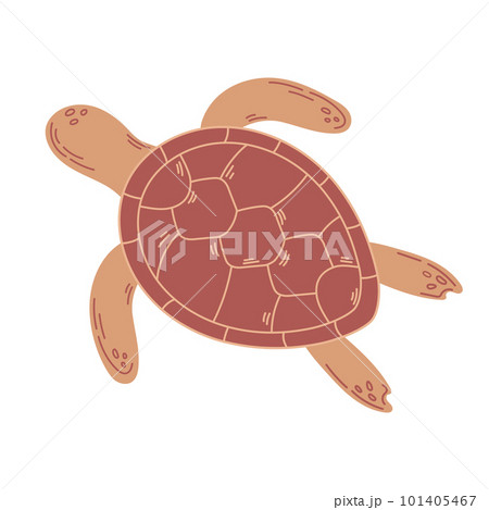 Hand drawn brown sea turtle isolated on white background. Vector Illustration for poster, fabric, print, textile, wrappert. Hand drawn brown sea turtle isolated on white background. Vector Illustration for poster, fabric, print, textile, wrappert. 101405467