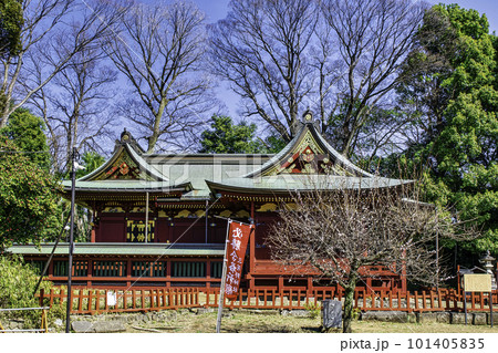 川越市 川越城二の丸跡 童謡「とうりゃんせ」ゆかりの三芳野神社(みよしのじんじゃ) 社殿 川越市 川越城二の丸跡 童謡「とうりゃんせ」ゆかりの三芳野神社(みよしのじんじゃ) 社殿 101405835