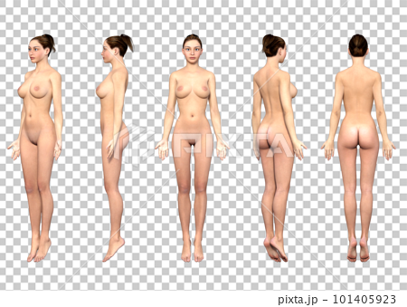 女性　裸　正面 美しいスリムな裸の女性の体。写真素材279549149 | Shutterstock