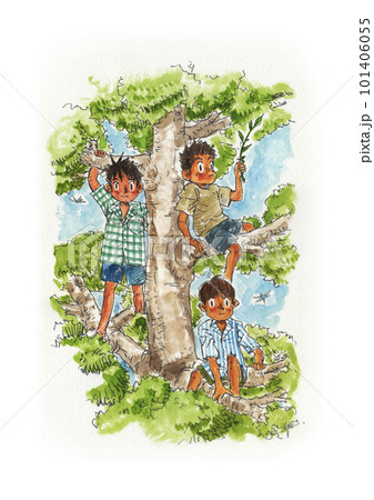 昭和の子供〜木登り〜夏 101406055