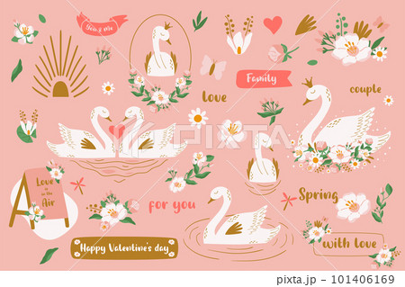 Floral pink swan set with pair of birds in love, phrases, princess, crown, flowers, frames isolated elements in vector 101406169