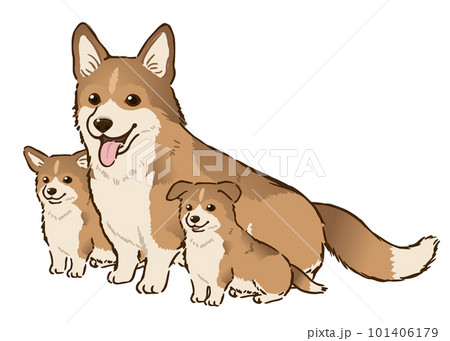 コーギーの親子（セーブルホワイト） 101406179