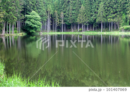 龍王ケ渕の水鏡 龍王ケ渕の水鏡 101407069