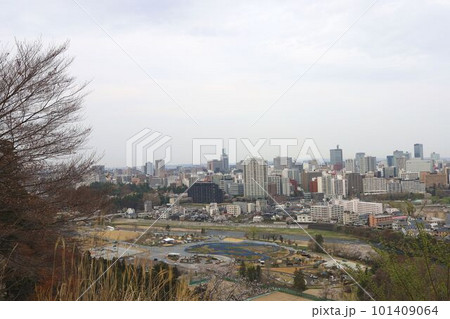 仙台城から見た仙台の街並みと桜 101409064