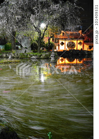 夜桜の岐阜公園の日中友好庭園の花筏 101409331