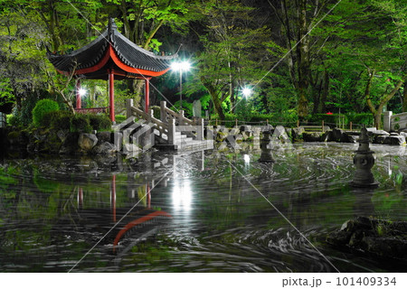 夜桜の岐阜公園の日中友好庭園の花筏 夜桜の岐阜公園の日中友好庭園の花筏 101409334