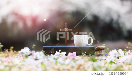 Spring background with the cross of Jesus Christ, the Bible and a teacup on a flower path in front of a cherry blossom tree forest on a spring day 101410064