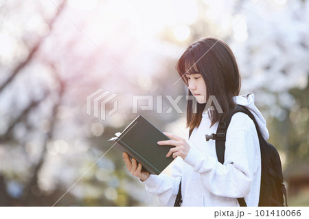 Admission season spring school girl high school student and college student concept with backpack reading in front of cherry blossom trees 101410066