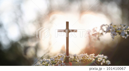 White spring flowers on a warm spring day, sunset in the forest, and the holy cross of Jesus Christ, a Christian symbol White spring flowers on a warm spring day, sunset in the forest, and the holy cross of Jesus Christ, a Christian symbol 101410067