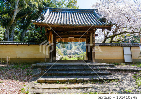 【奈良県】天理市 長岳寺 (2023/03/29撮影) 【奈良県】天理市 長岳寺 (2023/03/29撮影) 101410348