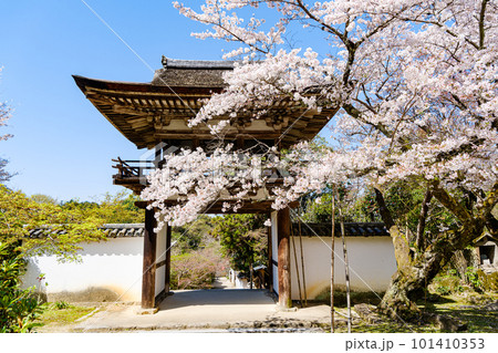 【奈良県】天理市 長岳寺 (2023/03/29撮影) 【奈良県】天理市 長岳寺 (2023/03/29撮影) 101410353