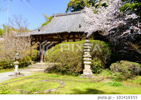 【奈良県】天理市 長岳寺 (2023/03/29撮影) 101410355