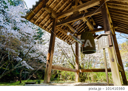 【奈良県】天理市 長岳寺 (2023/03/29撮影) 【奈良県】天理市 長岳寺 (2023/03/29撮影) 101410360