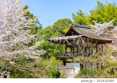 【奈良県】天理市 長岳寺 (2023/03/29撮影) 【奈良県】天理市 長岳寺 (2023/03/29撮影) 101410364