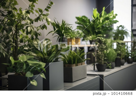 indoor plants and greenery in an office...のイラスト素材 [101410668] - PIXTA