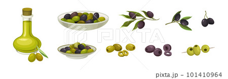 Fresh and Ripe Olive Black and Green Fruit Vector Set 101410964