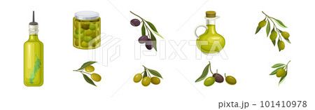 Fresh and Ripe Olive Black and Green Fruit Vector Set 101410978