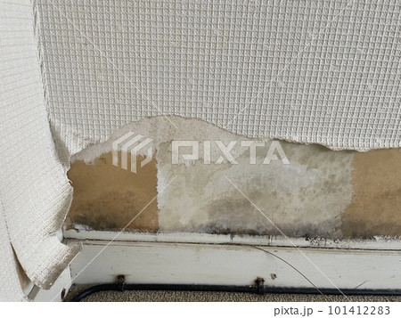 剥がれた壁紙 101412283