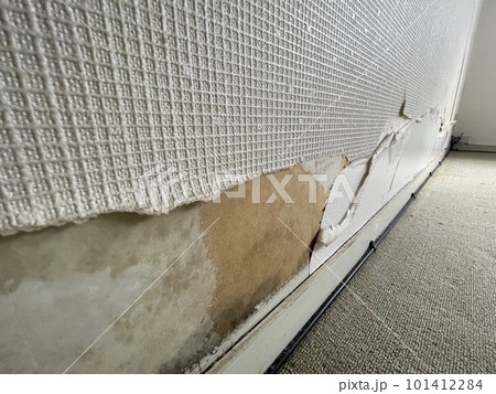 壁紙の剥がれ（広範囲） 101412284