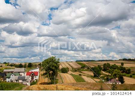 Farmland landscape. Countryside village. Nature view. Green and yellow harvest path meadow hills with small cottage houses fluffy sky clouds daylight panorama. 101412414