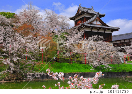 【奈良県】桜が満開の郡山城跡（追手向櫓） 101412759