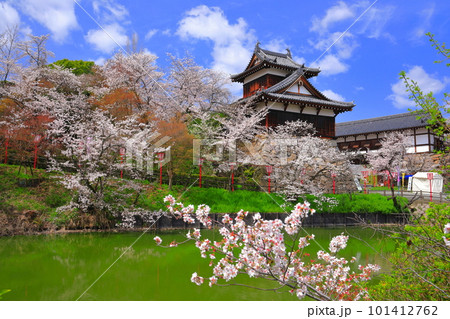 【奈良県】桜が満開の郡山城跡（追手向櫓） 101412762