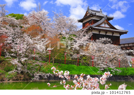 【奈良県】桜が満開の郡山城跡（追手向櫓） 101412765