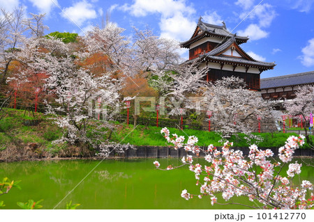 【奈良県】桜が満開の郡山城跡（追手向櫓） 101412770