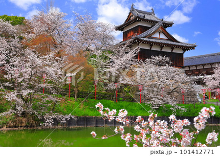 【奈良県】桜が満開の郡山城跡(追手向櫓) 【奈良県】桜が満開の郡山城跡(追手向櫓) 101412771