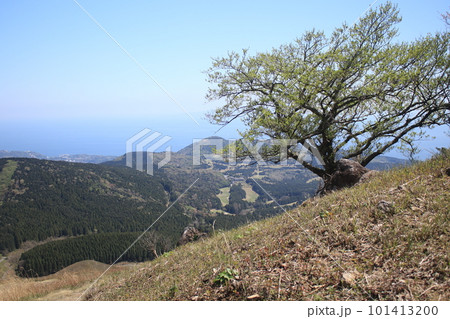 稲取細野高原 101413200