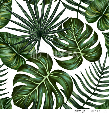Tropical leaf seamless pattern. Colorful vivid print with beautiful palm jungle leaves. Repeated luxury design for packaging, cosmetic, fashion, textile, wallpaper. Realistic high quality illustration 101414022