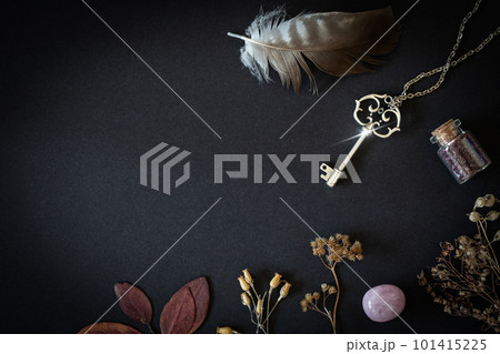 Magic tools on black background, silver key, bottle, feather, dried herbs and rose quartz, copy space. 101415225