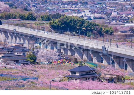 （山梨県）桃源郷の実験線路を走るリニアモーターカー 101415731