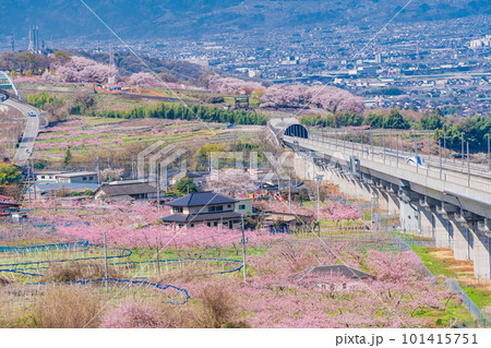 (山梨県)桃源郷の実験線路を走るリニアモーターカー (山梨県)桃源郷の実験線路を走るリニアモーターカー 101415751