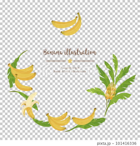 Banana watercolor illustration circle 101416336