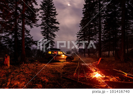 Tourist camping in a fir forest near the sea Tourist camping in a fir forest near the sea 101416740