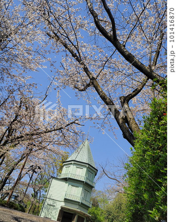 静岡県 春の広見公園 眺峰館 4月 静岡県 春の広見公園 眺峰館 4月 101416870
